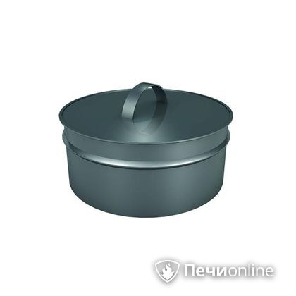 Заглушки Теплов и Сухов Заглушка ревизии Термо-Р 304 0.5 D220(120) в Красноуфимске