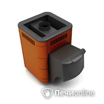 Дровяная банная печь TMF Оса Carbon терракота дверь антрацит в Красноуфимске